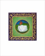 white lotus and monach butterfly in mandala